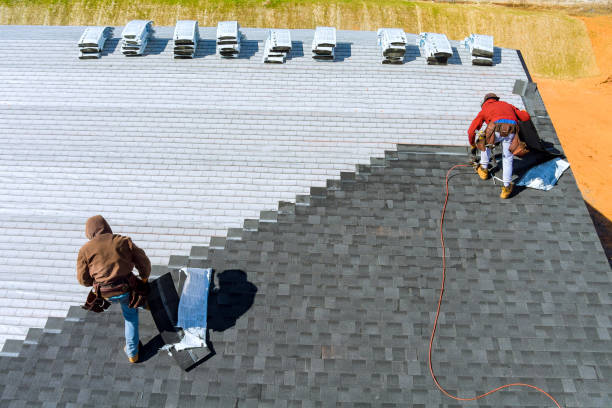 Roof Waterproofing Services in Morrice, MI
