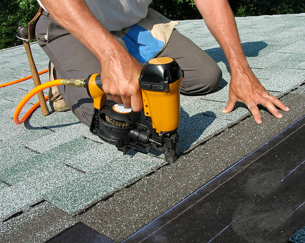Best Metal Roofing Contractor  in Morrice, MI