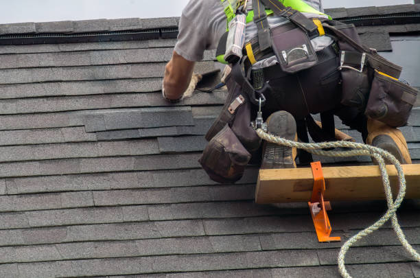 Best Emergency Roof Repair  in Morrice, MI