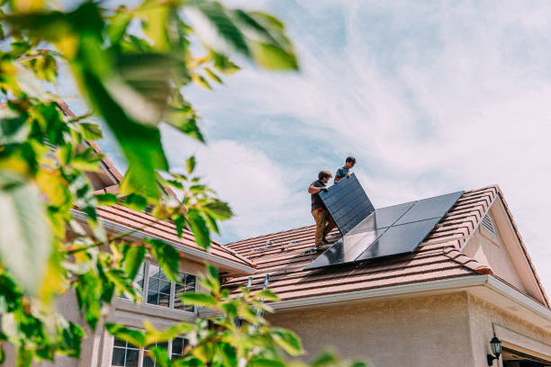 Best Roof Gutter Cleaning  in Morrice, MI