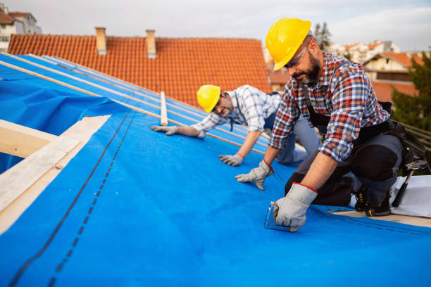 Best Flat Roof Repair Services  in Morrice, MI