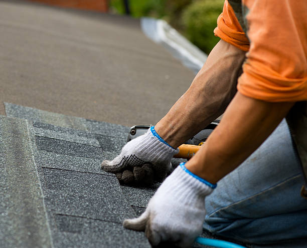 Best Roof Waterproofing Services  in Morrice, MI