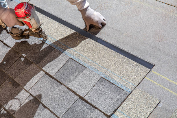 Best Gutter Installation and Roofing  in Morrice, MI